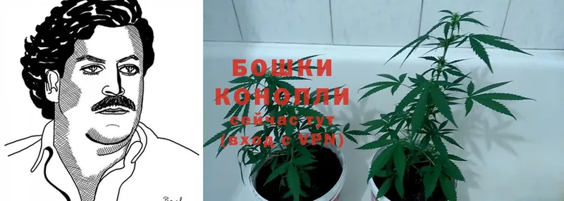 Бошки Шишки Ganja  OMG зеркало  Бор  где купить  